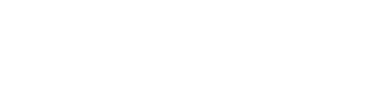 Excel in Property Logo